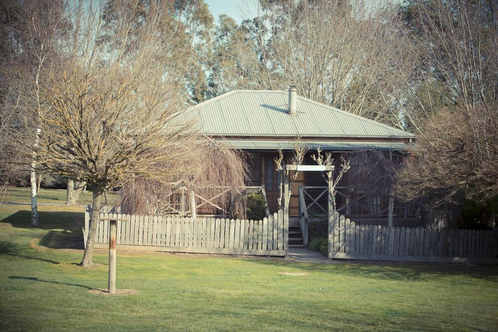 Sanctuary Park Cottages Healesville Extérieur photo