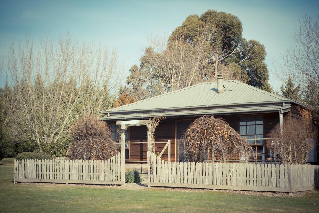 Sanctuary Park Cottages Healesville Extérieur photo
