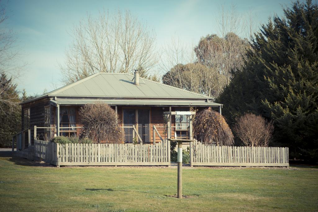 Sanctuary Park Cottages Healesville Chambre photo