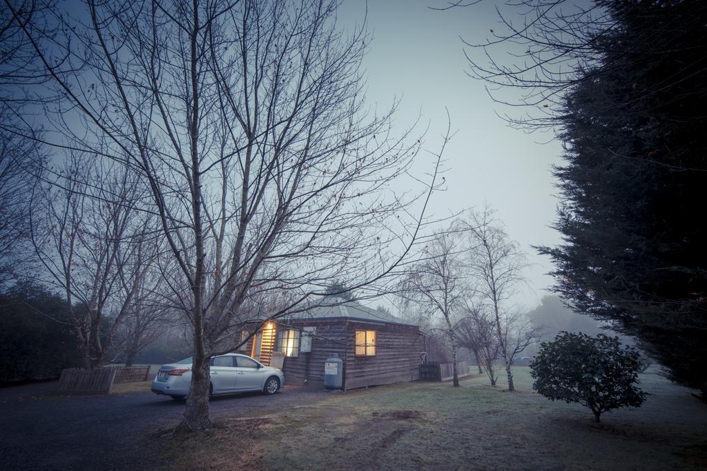 Sanctuary Park Cottages Healesville Extérieur photo